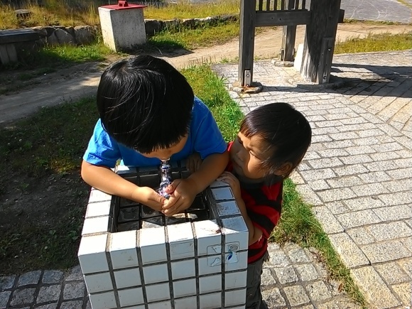 f0201157_23530097.jpg