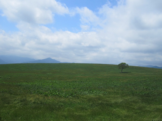 d0158258_7522775.jpg