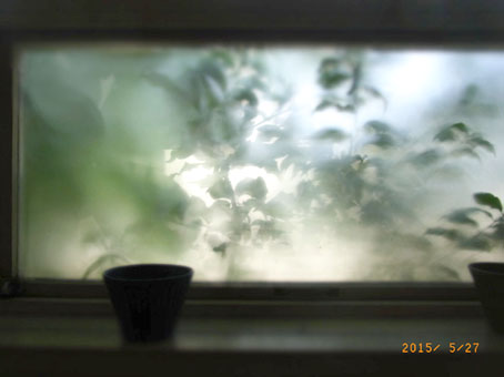 b0075364_10105865.jpg