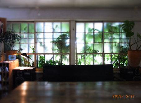 b0075364_15521918.jpg