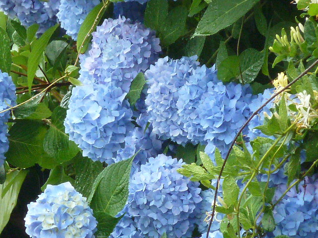 e0278968_20472791.jpg