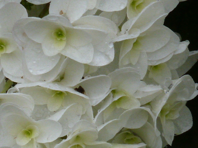e0278968_21184320.jpg