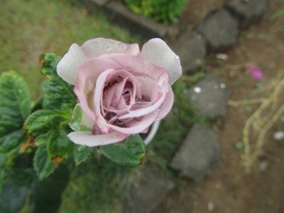 b0149071_18263382.jpg