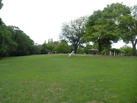 e0161972_884950.jpg