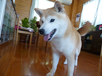 b0057675_2115240.jpg
