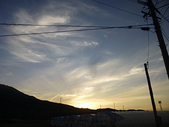 b0057675_21312.jpg