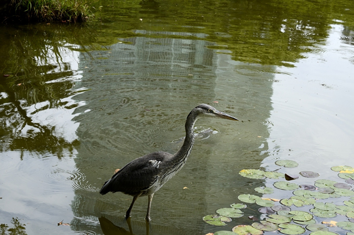 f0108478_20241629.jpg
