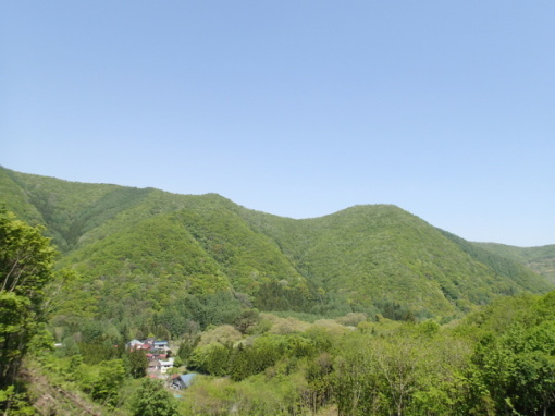 a0279883_19351704.jpg