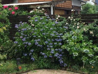 c0096287_16015436.jpg