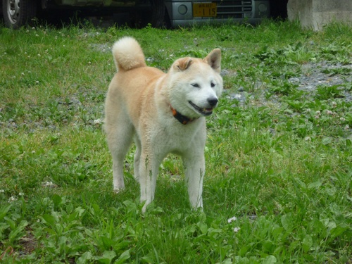 c0123890_15131739.jpg