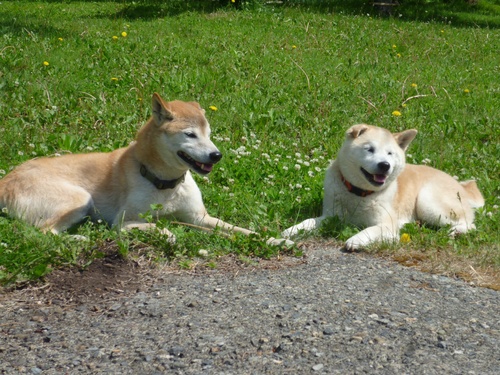 c0123890_2040577.jpg