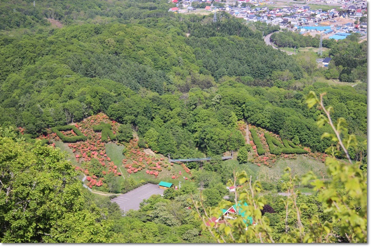 f0146493_21283166.jpg