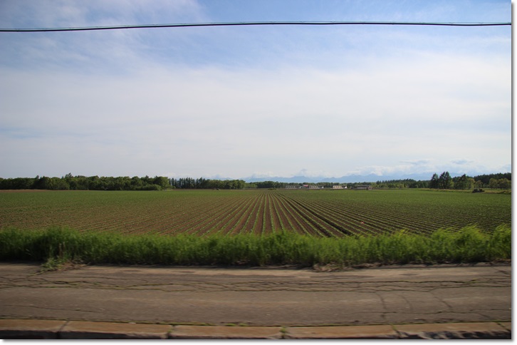 f0146493_2128573.jpg
