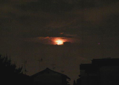 d0053294_23513253.jpg