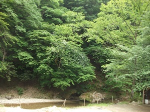 d0240201_13465640.jpg