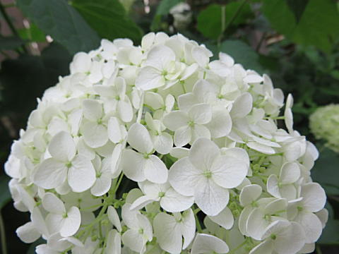 d0046702_10161100.jpg
