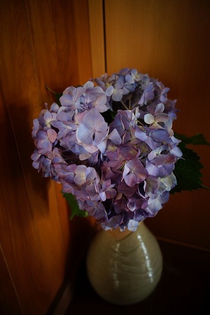 b0147203_849879.jpg