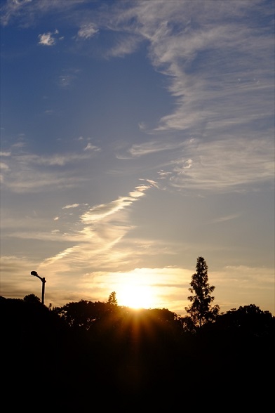 f0113108_6104457.jpg