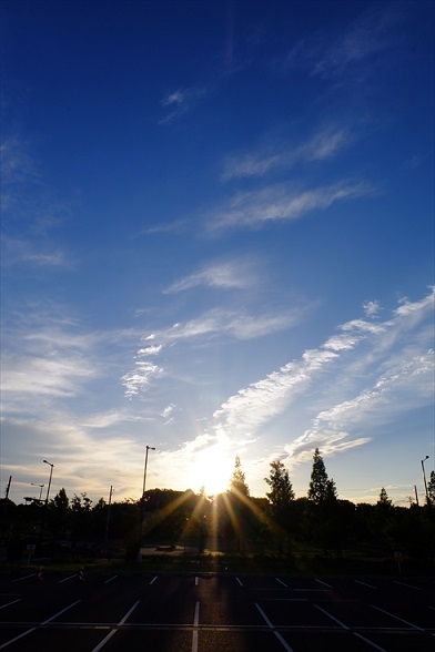 f0113108_611353.jpg