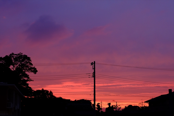 f0113108_645223.jpg