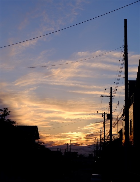 f0113108_672347.jpg