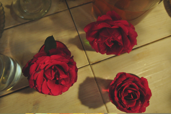 f0188408_20143837.jpg