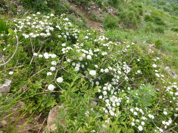 d0170615_1937235.jpg
