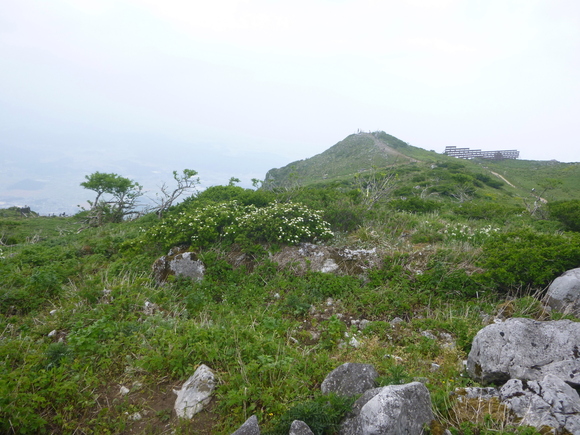 d0170615_1940516.jpg