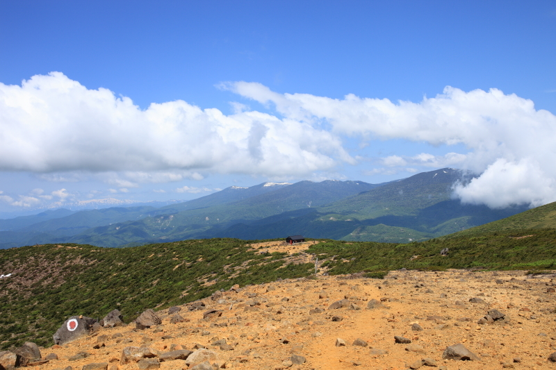 c0369219_21324175.jpg