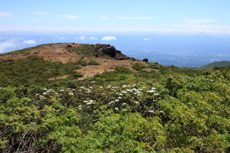 c0369219_21462663.jpg