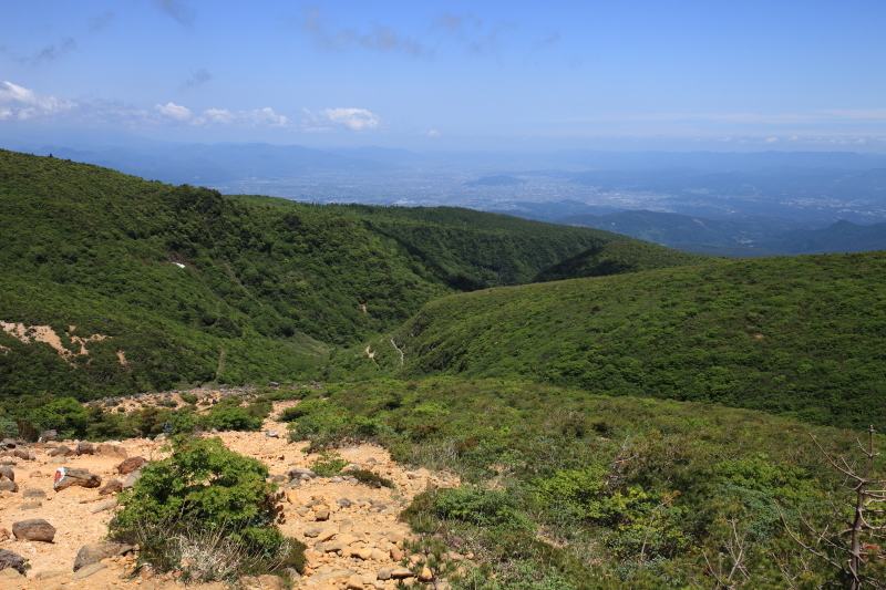 c0369219_22463132.jpg