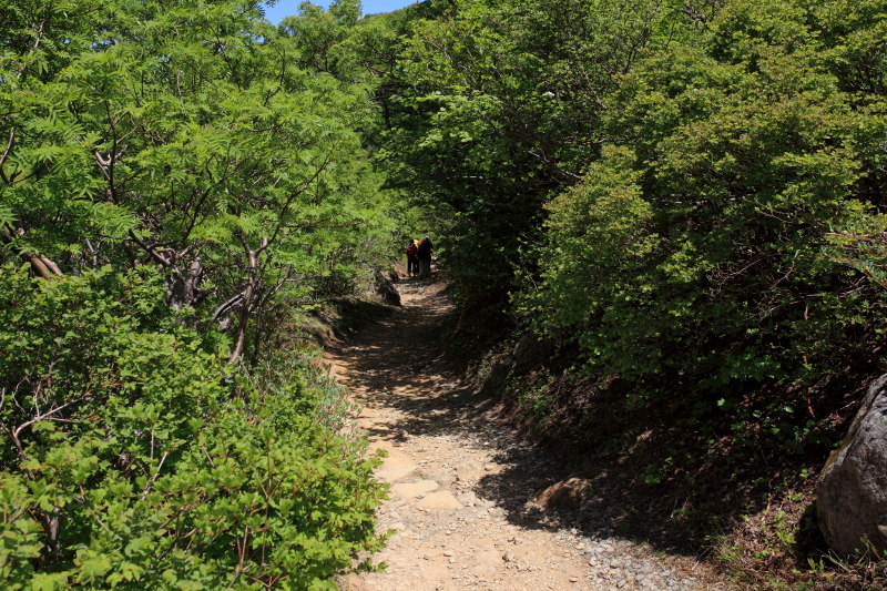 c0369219_23140937.jpg