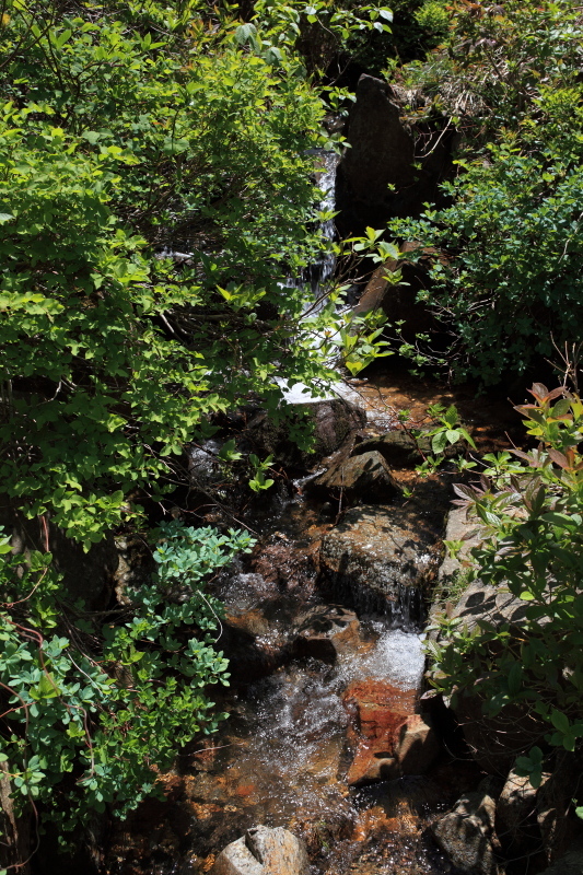 c0369219_23153876.jpg