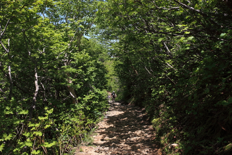 c0369219_23170956.jpg