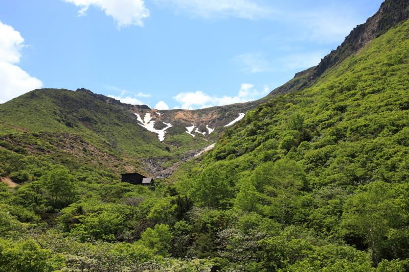 c0369219_23222992.jpg