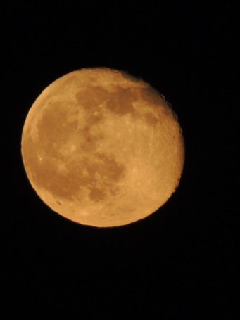 f0150620_22223156.jpg