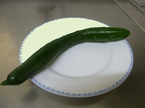 e0312121_17111070.gif