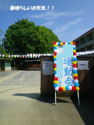 b0102728_21183540.jpg