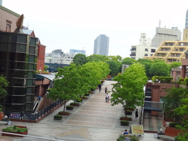 e0016828_10352939.jpg