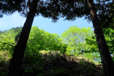 b0281732_8203047.jpg