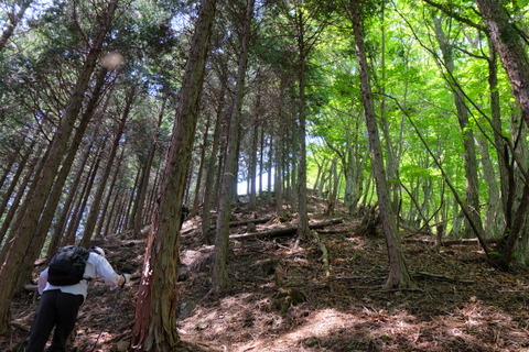 b0281732_8203881.jpg