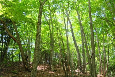 b0281732_8205689.jpg