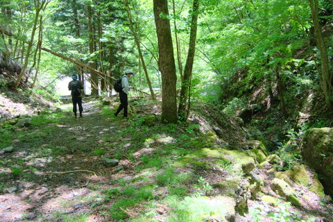 b0281732_822159.jpg