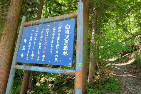 b0281732_822189.jpg