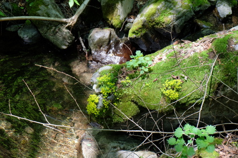 b0281732_8222273.jpg
