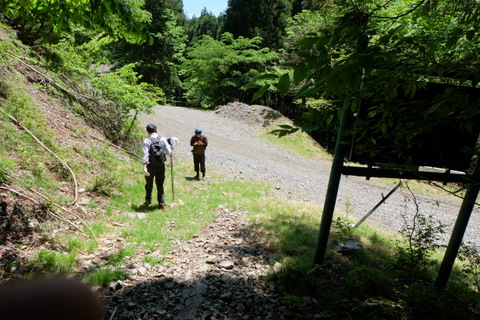 b0281732_82275.jpg