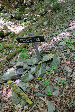 b0281732_8231574.jpg