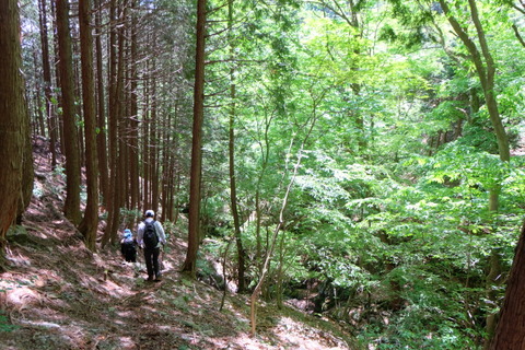 b0281732_8232436.jpg