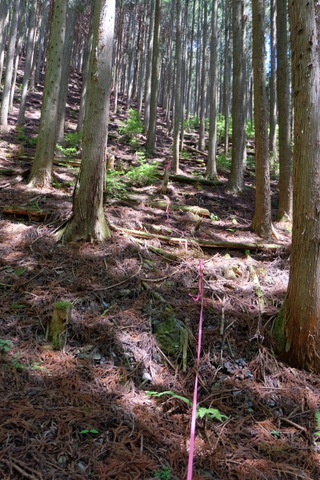 b0281732_823391.jpg