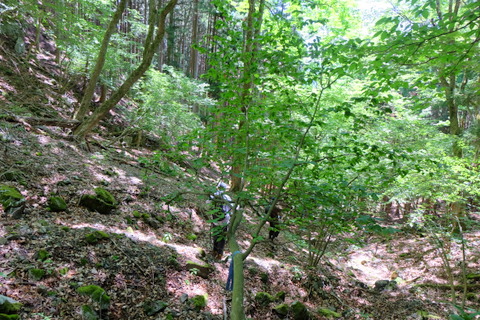 b0281732_8235319.jpg